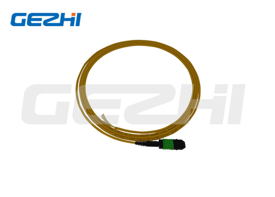 comprar SM 9/125 Mpo Lc Fibra Óptica Pigtail Patchcord com e comprimento personalizado online manufacture