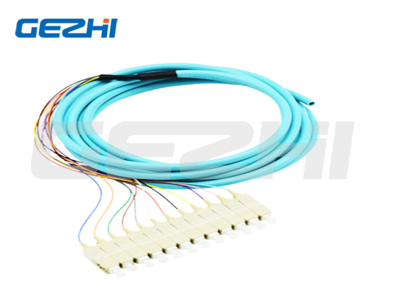 comprar 12 núcleos Pigtail de fibra óptica SC PC Multimodo OM3 Distribuição Pigtails ópticos 0,9mm para transmissão de dados online manufacture
