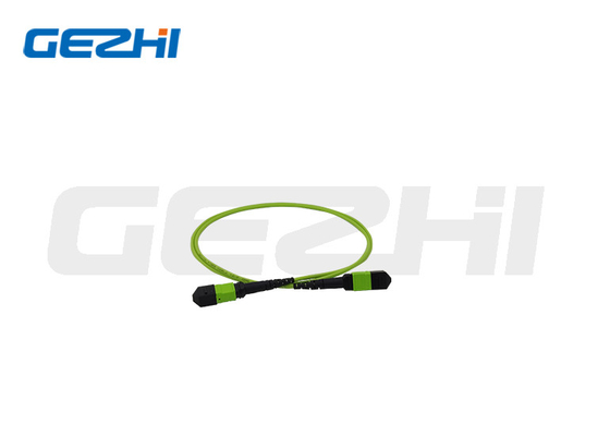 OM5 Mpo Patch Cable para conectividade óptica FTTX de alta densidade
