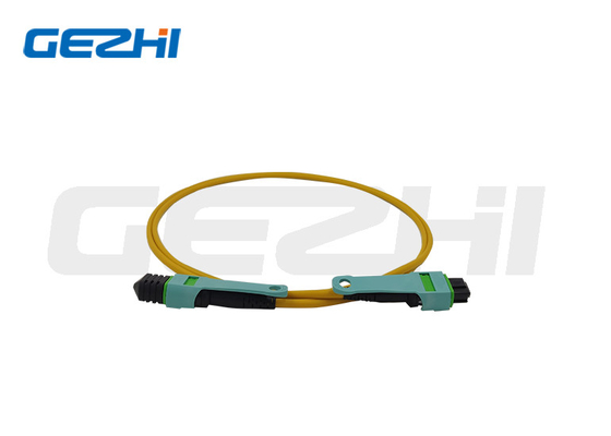 24-Core OS2 Fiber Patch Cord comprimentos personalizados para FTTX / CATV