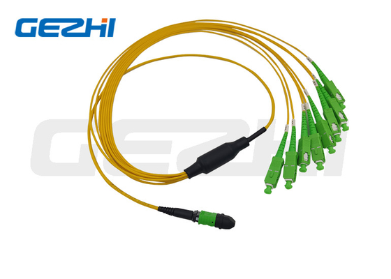 MTP / MPO Fibra Trunk Jumpers Cabe 12 núcleos 24 núcleos 48 núcleos 72 núcleos 96 núcleos 144 núcleos OS2