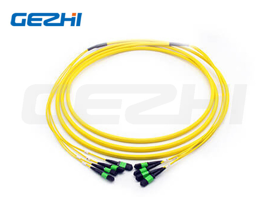 48F MPO (Femininha) - MPO (Femininha) 3.0mm LSZH Fibra Óptica Patch Cable / Trunk Cable