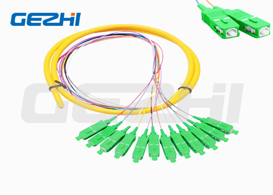 9/125 Fibra óptica Pigtail 1,2m SC/APC Modo Único 12 Filamentos Fibra Óptica
